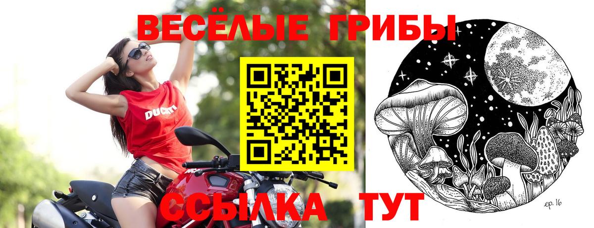 Псилоцибиновые грибы Psilocybine cubensis  Псилоцибиновые грибы Psilocybine cubensis  Вход с VPN  закладка  Владивосток 