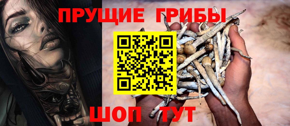 Псилоцибиновые грибы мицелий Владивосток